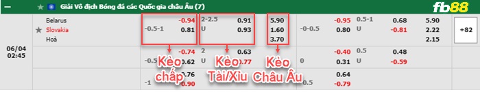 Fb88 bảng kèo trận đấu Belarus vs Slovakia