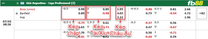 Fb88 tỷ lệ kèo trận đấu Club Necaxa vs Toluca
