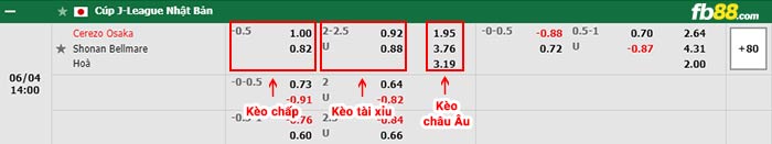fb88-bảng kèo trận đấu Cerezo Osaka vs Shonan Bellmare