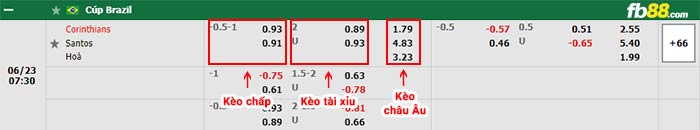 fb88-bảng kèo trận đấu Corinthians vs Santos