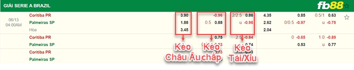 Fb88 bảng kèo trận đấu Coritiba vs Palmeiras