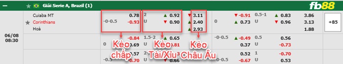 Fb88 bảng kèo trận đấu Cuiaba vs Corinthians