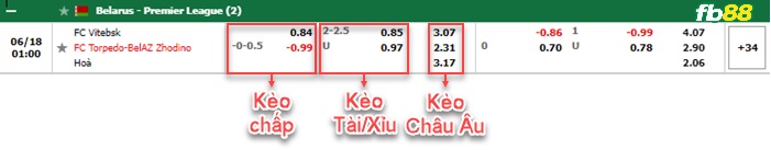 Fb88 tỷ lệ kèo trận đấu FC Vitebsk vs Torpedo Zhodino