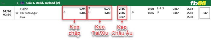 Fb88 bảng kèo trận đấu Fjolnir vs Kopavogur