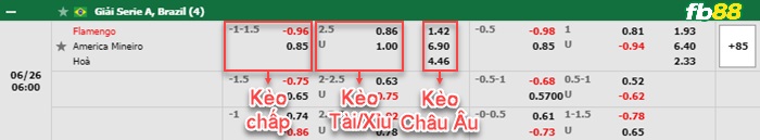 Fb88 tỷ lệ kèo trận đấu Corinthians vs Santos