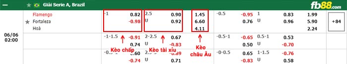 fb88-bảng kèo trận đấu Flamengo vs Fortaleza
