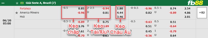 Fb88 bảng kèo trận đấu Fortaleza vs America MG