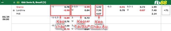 Fb88 bảng kèo trận đấu Gremio vs Londrina