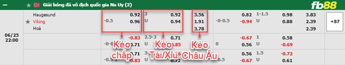 Fb88 bảng kèo trận đấu Haugesund vs Viking