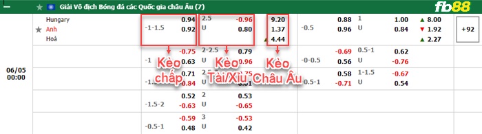 Fb88 bảng kèo trận đấu Hungary vs Anh