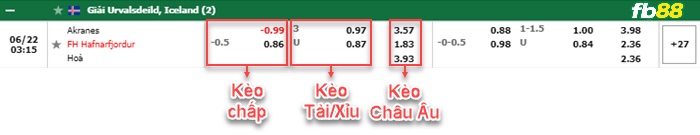 Fb88 bảng kèo trận đấu IA Akranes vs Hafnarfjordur