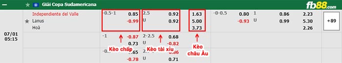 fb88-bảng kèo trận đấu Ind Del Valle vs Lanus