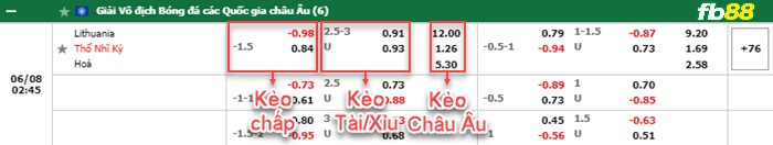 Fb88 bảng kèo trận đấu Lithuania vs Turkey