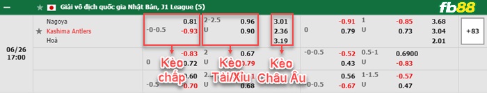 Fb88 bảng kèo trận đấu Nagoya Grampus vs Kashima Antlers
