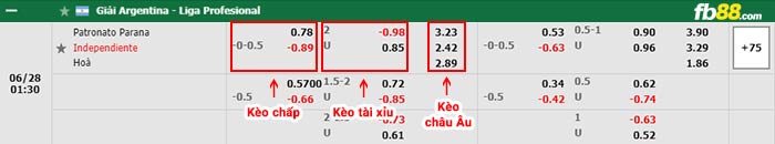 fb88-bảng kèo trận đấu Patronato Parana vs Independiente