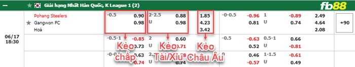 Fb88 bảng kèo trận đấu Pohang vs Gangwon FC