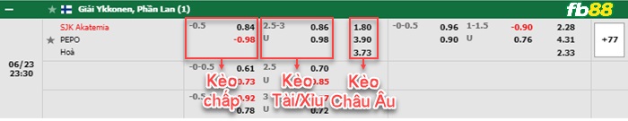 Fb88 bảng kèo trận đấu SJK Akatemia vs PEPO Lappeenranta