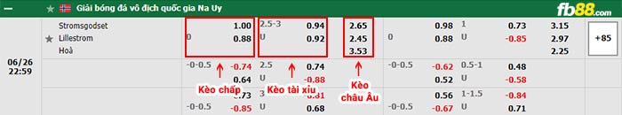fb88-bảng kèo trận đấu Stromsgodset vs Lillestrom