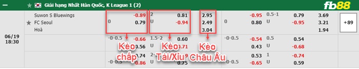 Fb88 bảng kèo trận đấu Suwon Bluewings vs FC Seou