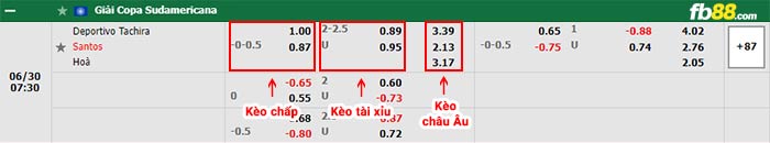fb88-bảng kèo trận đấu Tachira vs Santos