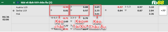 Fb88 bảng kèo trận đấu U19 Ao vs U19 Serbia