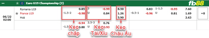 Fb88 bảng kèo trận đấu U19 Romania vs U19 Phap
