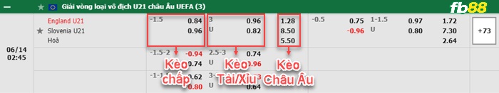 Fb88 bảng kèo trận đấu U21 Anh vs U21 Slovenia