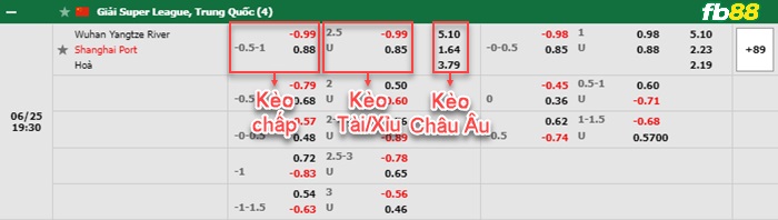 Fb88 bảng kèo trận đấu Wuhan Yangtze vs Shanghai Port