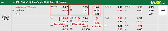 fb88-bảng kèo trận đấu Yokohama F Marinos vs Kashiwa Reysol