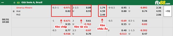 fb88-bảng kèo trận đấu America MG vs Avai