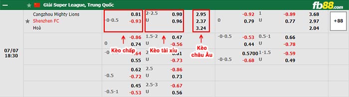 fb88-bảng kèo trận đấu Cangzhou Mighty vs Shenzhen FC