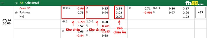 fb88-bảng kèo trận đấu Ceara vs Fortaleza
