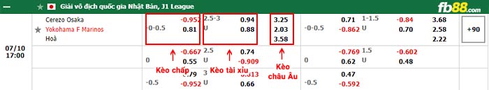 fb88-bảng kèo trận đấu Cerezo Osaka vs Yokohama F Marinos