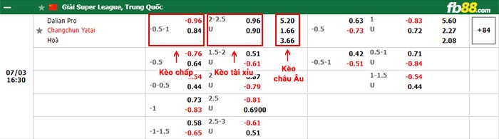 fb88-bảng kèo trận đấu Dalian Pro vs Changchun YaTai