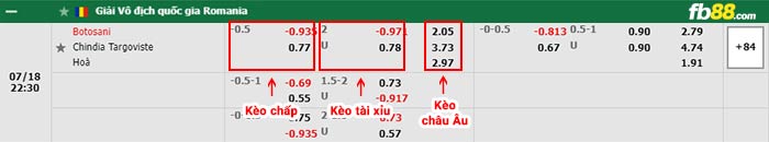 fb88-bảng kèo trận đấu FC Botosani vs Chindia Targoviste