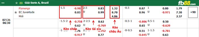 fb88-bảng kèo trận đấu Flamengo vs Juventude