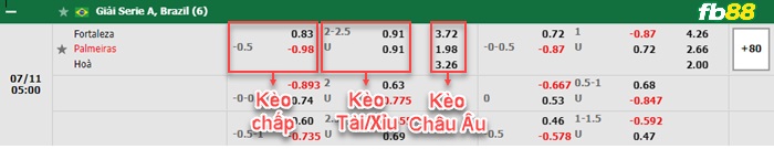 Fb88 bảng kèo trận đấu Fortaleza vs Palmeiras