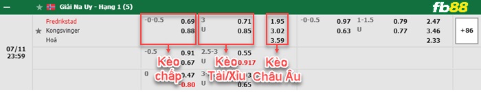 Fb88 bảng kèo trận đấu Fredrikstad vs Kongsvinger