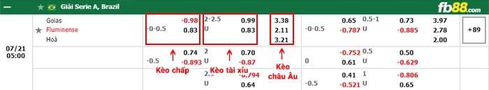 fb88-bảng kèo trận đấu Goias vs Fluminense