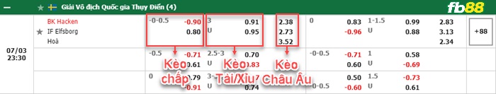 Fb88 bảng kèo trận đấu Hacken vs Elfsborg