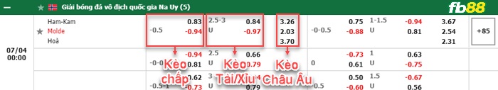 Fb88 bảng kèo trận đấu HamKam vs Molde