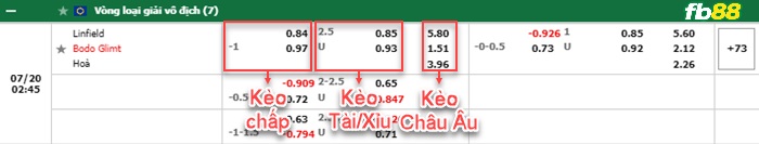 Fb88 bảng kèo trận đấu Linfield vs Bodo Glimt