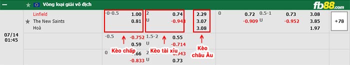 fb88-bảng kèo trận đấu Linfield vs The New Saints