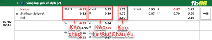 Fb88 bảng kèo trận đấu Maribor vs Shakhter Soligorsk
