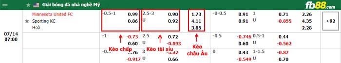 fb88-bảng kèo trận đấu Minnesota vs Kansas City