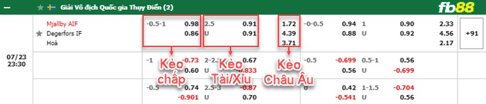 Fb88 bảng kèo trận đấu Mjallby vs Degerfors