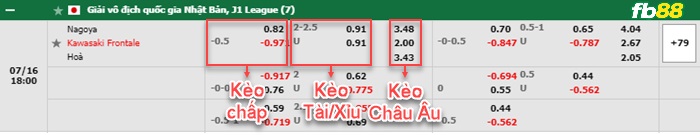 Fb88 bảng kèo trận đấu Nagoya Grampus vs Kawasaki Frontale