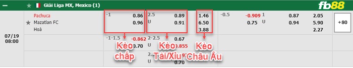 Fb88 bảng kèo trận đấu Pachuca vs Mazatlan