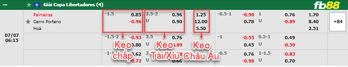 Fb88 bảng kèo trận đấu Palmeiras vs Cerro Porteno