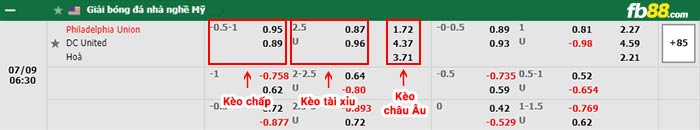 fb88-bảng kèo trận đấu Philadelphia vs Washington D.C